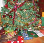 IMG_5415.jpg