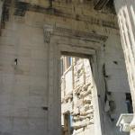 IMG_6113.jpg