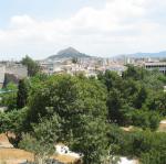 IMG_6130.jpg