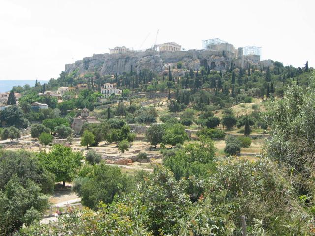 IMG_6133.jpg