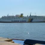 IMG_6159.jpg