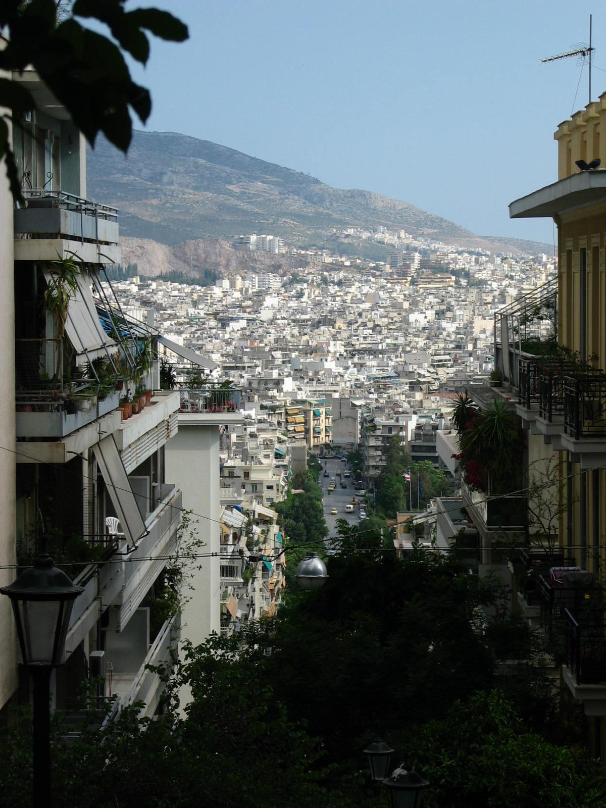 IMG_6167.jpg