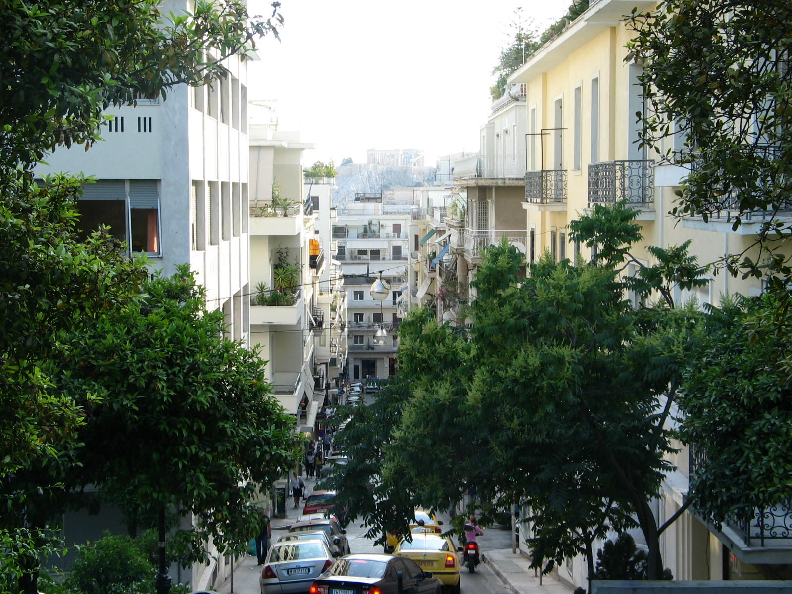 IMG_6177.jpg