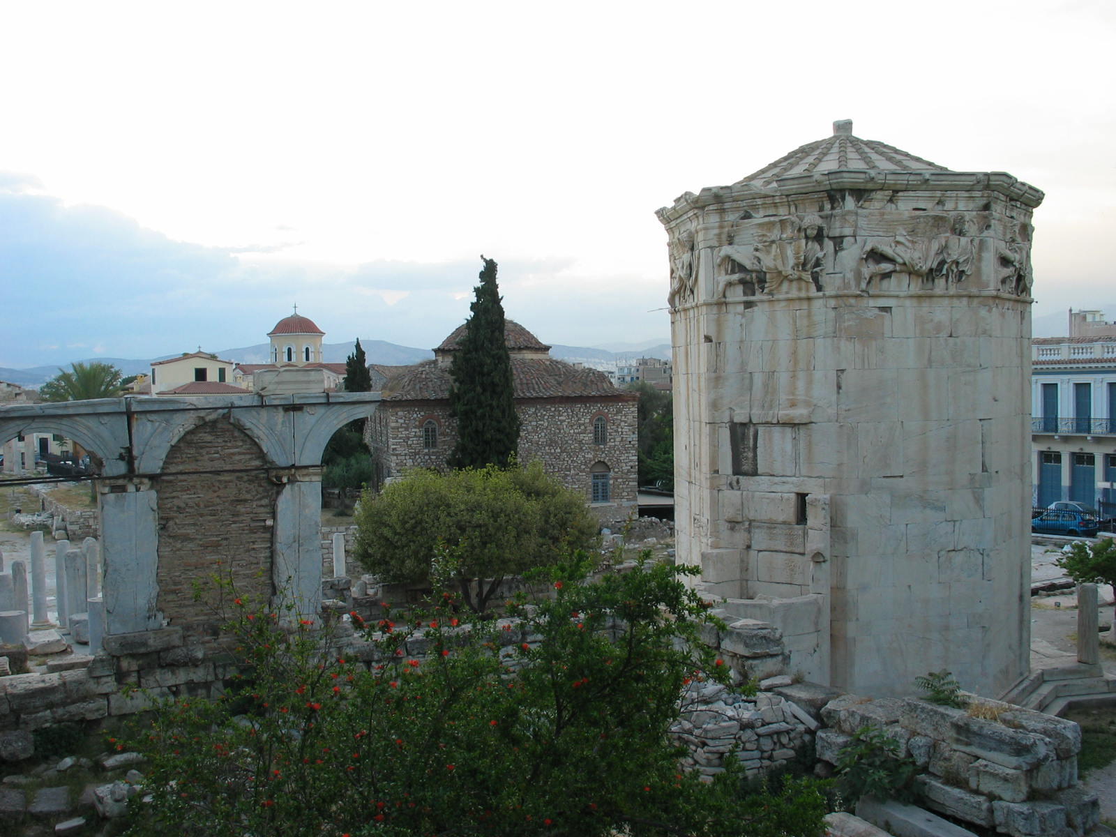 IMG_6204.jpg