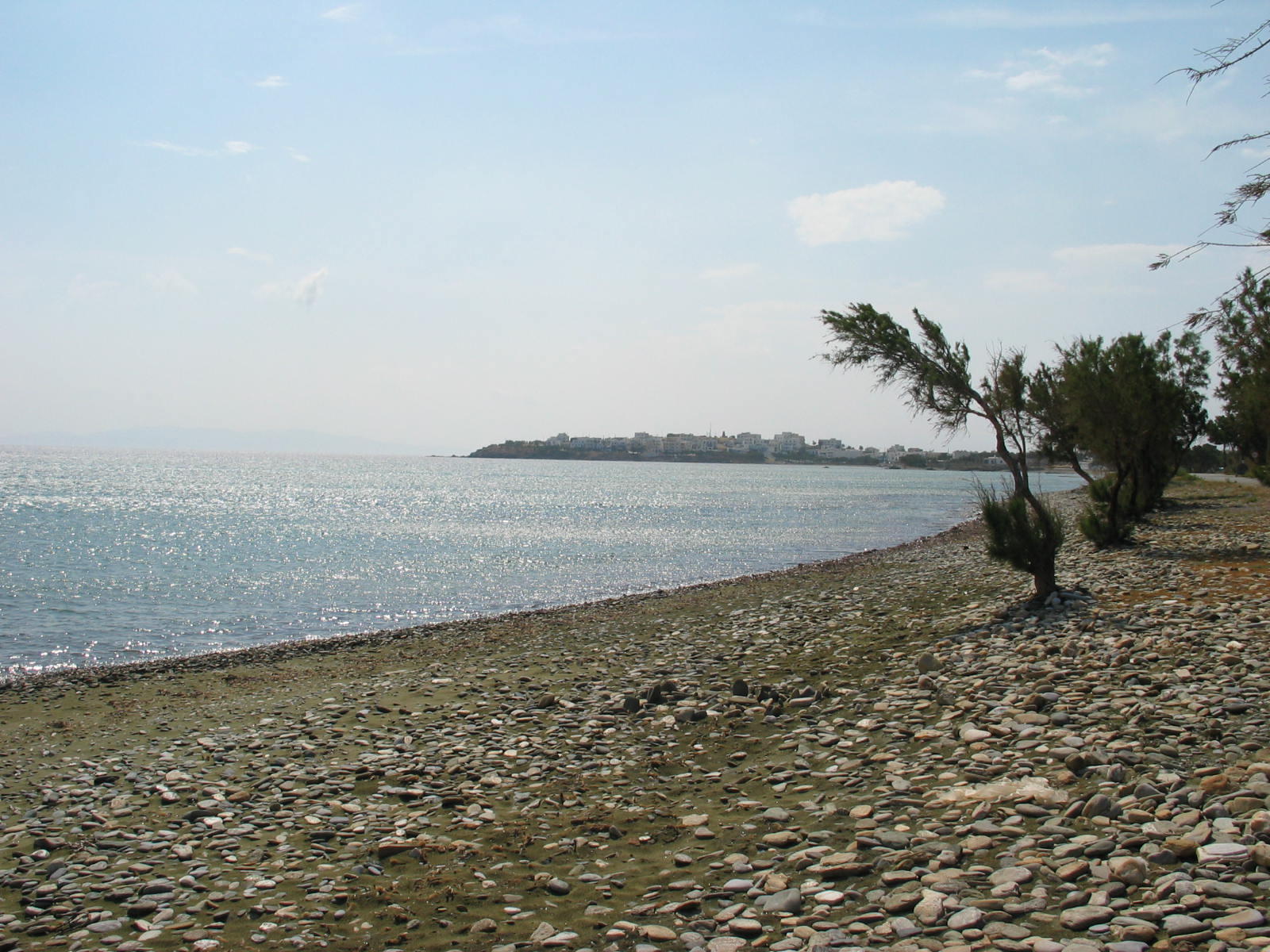 IMG_6246.jpg