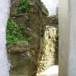IMG_6264.jpg