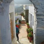 IMG_6270.jpg