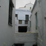 IMG_6278.jpg