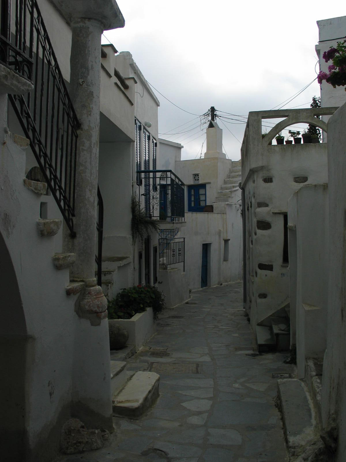 IMG_6291.jpg