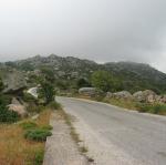 IMG_6294.jpg