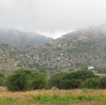 IMG_6296.jpg