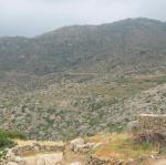 IMG_6299.jpg
