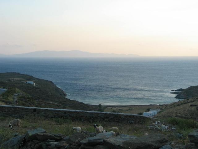 IMG_6314.jpg