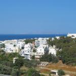 IMG_6317.jpg