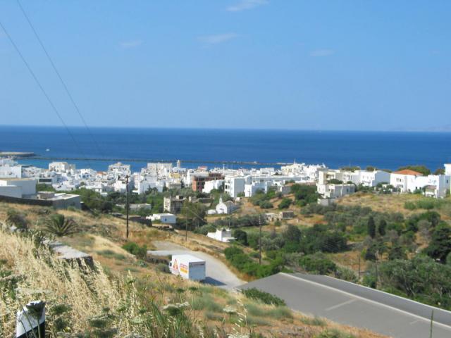 IMG_6318.jpg
