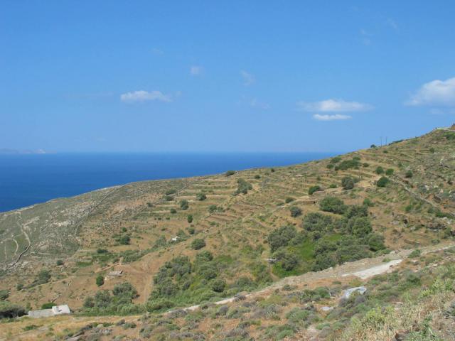 IMG_6327.jpg