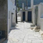 IMG_6328.jpg