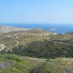 IMG_6331.jpg