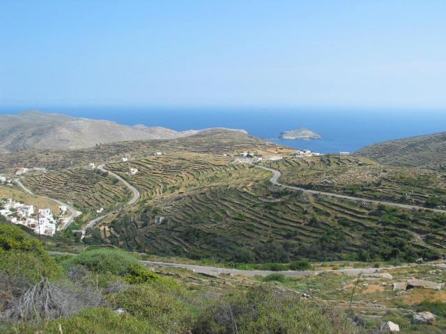 IMG_6331.jpg