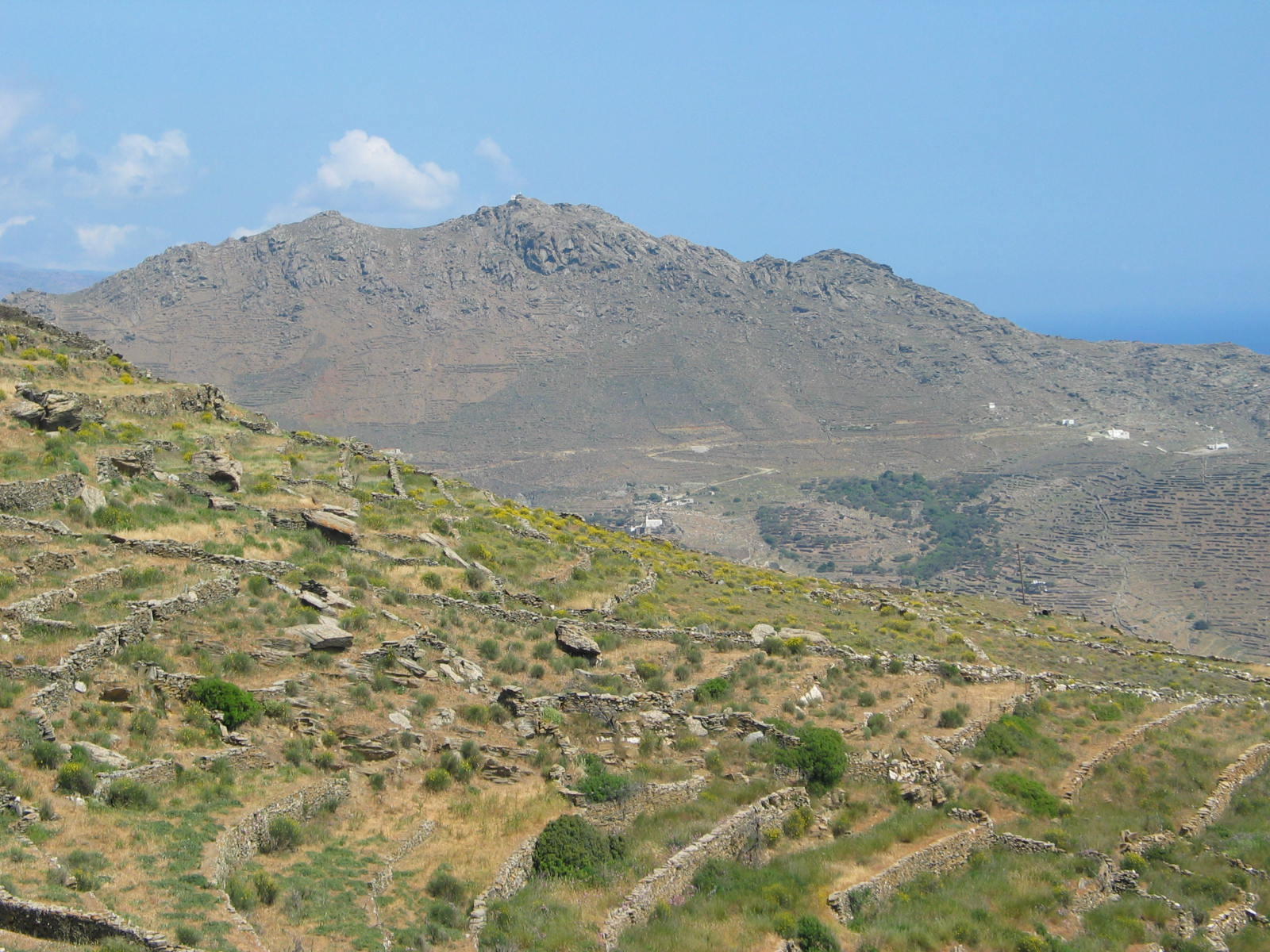 IMG_6333.jpg