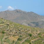 IMG_6333.jpg