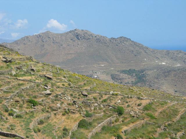 IMG_6333.jpg