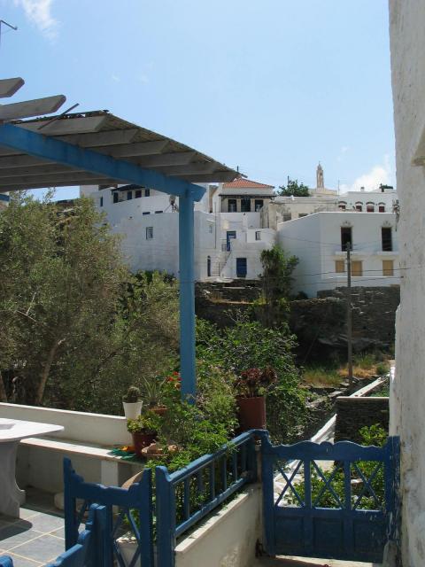 IMG_6353.jpg
