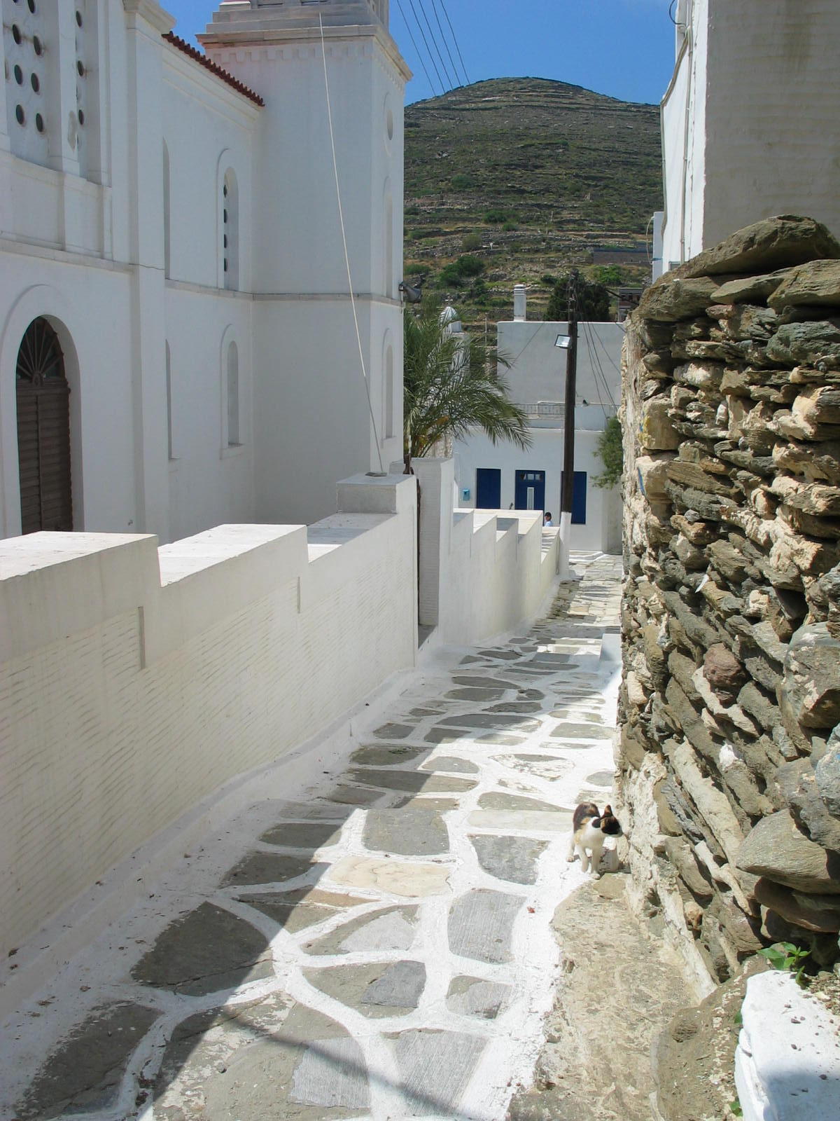 IMG_6355.jpg