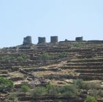 IMG_6373.jpg