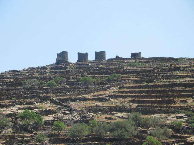 IMG_6373.jpg