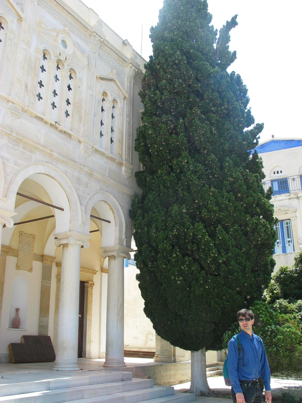 IMG_6383.jpg