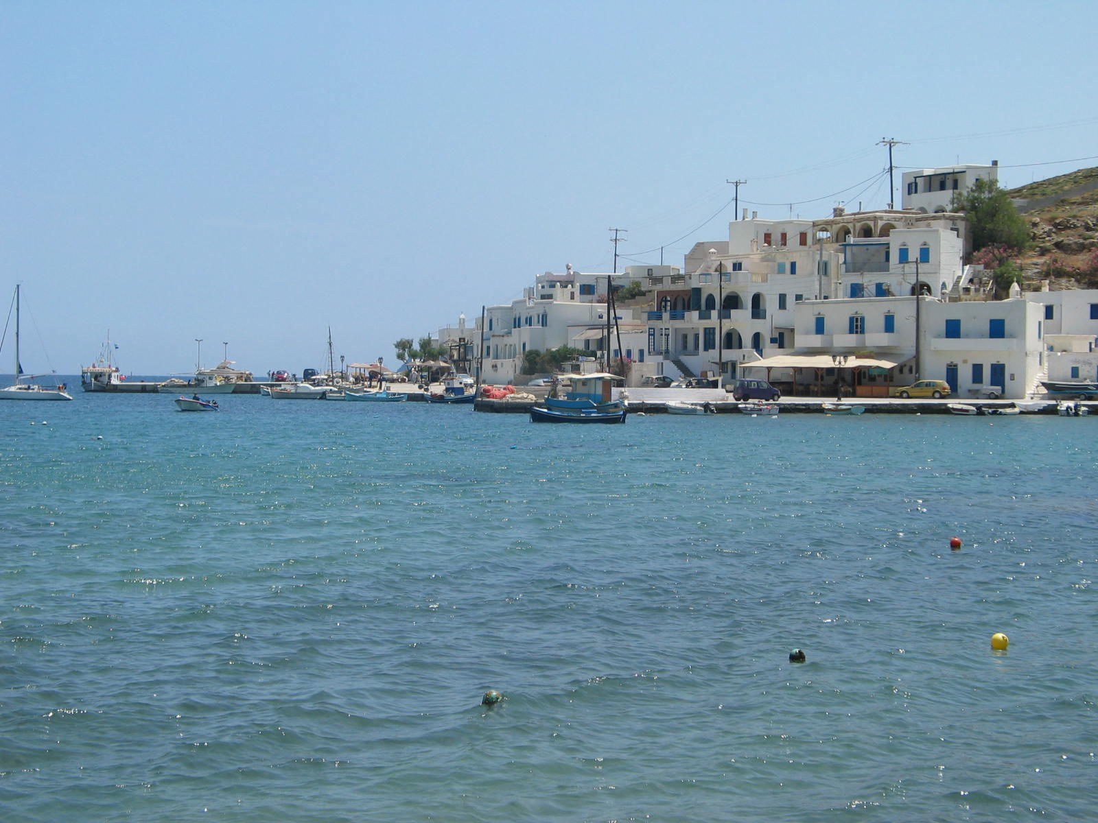 IMG_6390.jpg