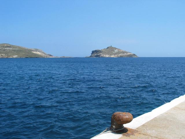 IMG_6393.jpg