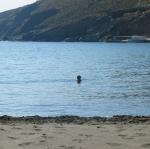 IMG_6414.jpg