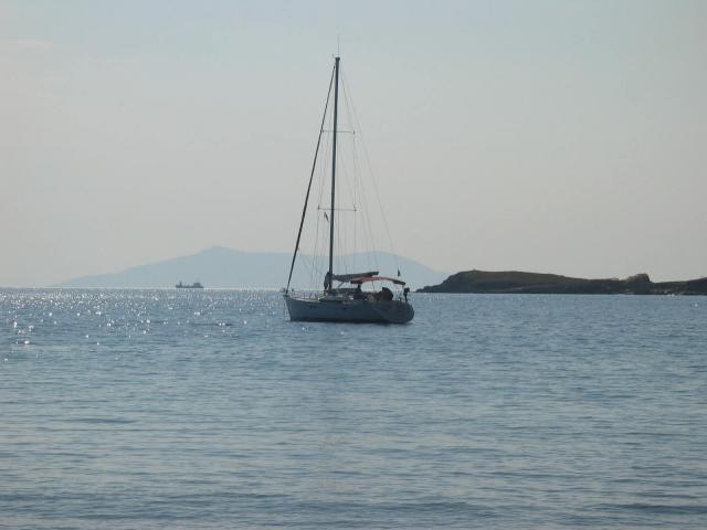 IMG_6415.jpg