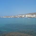 IMG_6449.jpg