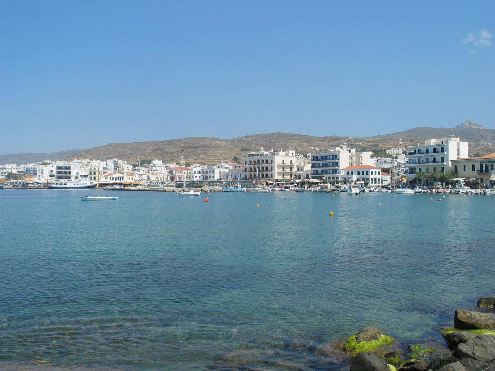 IMG_6450.jpg