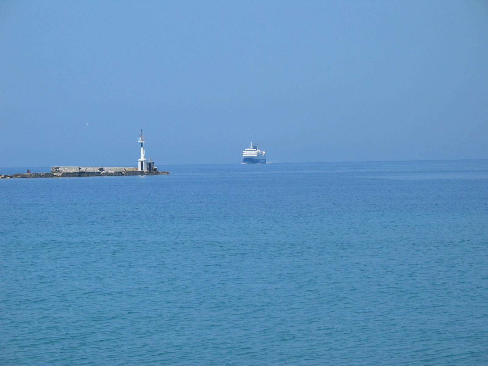 IMG_6451.jpg