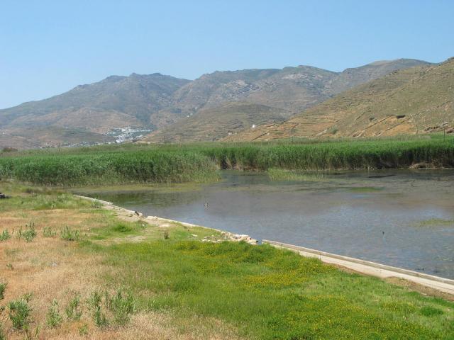 IMG_6456.jpg