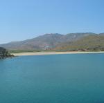 IMG_6459.jpg