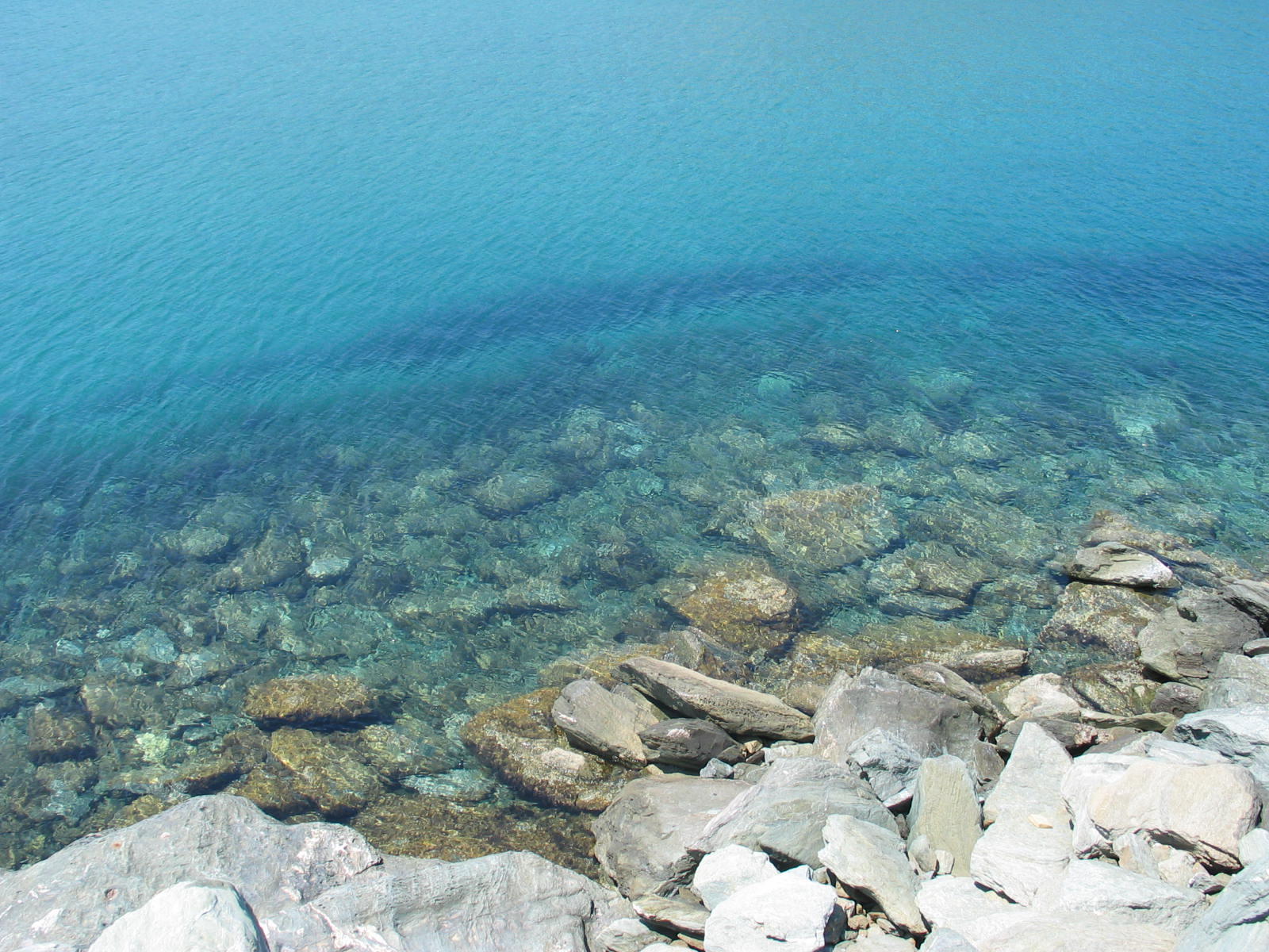 IMG_6460.jpg