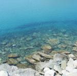 IMG_6460.jpg