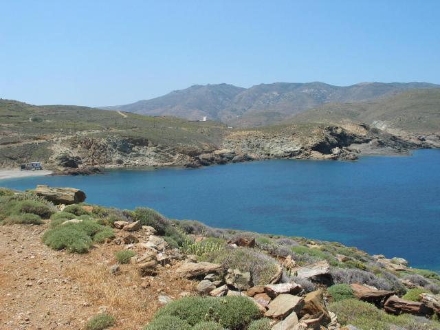 IMG_6463.jpg