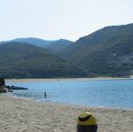 IMG_6468.jpg