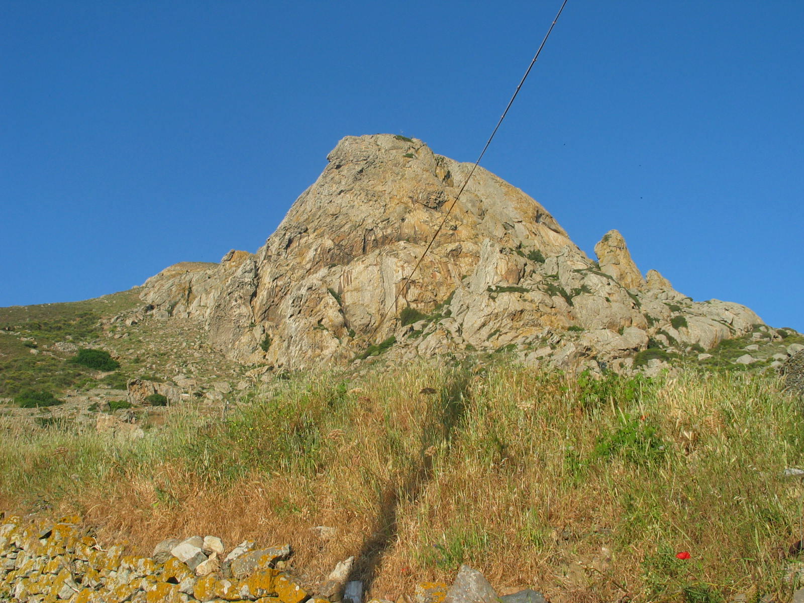 IMG_6473.jpg