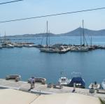 IMG_6474.jpg