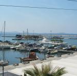 IMG_6476.jpg