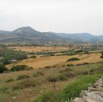IMG_6493.jpg