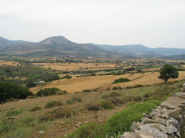 IMG_6493.jpg