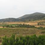 IMG_6494.jpg